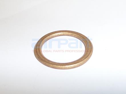 452-418 Bearing Thust Washer