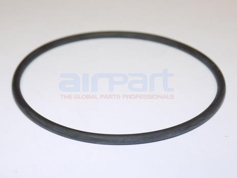 756-078 O-Ring