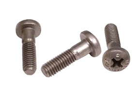 MS27039C0806 Screw